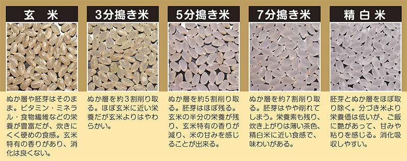 こんなにすごい 米ぬかのチカラ お米マイスター 全国ネットワーク
